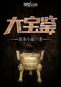 Bìa truyện Đại Bảo Giám (大宝鉴)