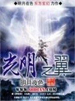 Bìa truyện Quang Minh Chi Dực (光明之翼)