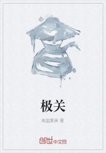 Bìa truyện Cực Quan (极关)