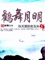 Bìa truyện Hạc Vũ Nguyệt Minh (鹤舞月明)