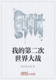 Bìa truyện Ngã Đích Đệ Nhị Thứ Thế Giới Đại Chiến (我的第二次世界大战)