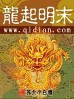 Bìa truyện Long Khởi Minh Mạt (龙起明末)