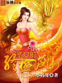 Bìa truyện Thánh Nữ Đích Chung Cực Hộ Vệ (圣女的终极护卫)