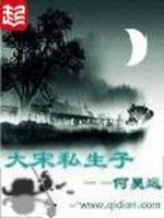 Bìa truyện Đại Tống Tư Sinh Tử (大宋私生子)