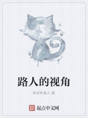 Bìa truyện Lộ Nhân Đích Thị Giác (路人的视角)