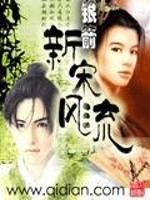 Bìa truyện Tân Tống Phong Lưu (新宋风流)