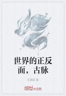 Bìa truyện Thế Giới Đích Chính Phản Diện Cổ Mạch (世界的正反面，古脉)