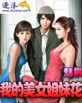 Bìa truyện Ngã Đích Mĩ Nữ Tỷ Muội Hoa (我的美女姐妹花)