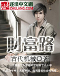 Bìa truyện Tài Phú Lộ (财富路)