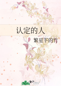 Bìa truyện Nhận Định Đích Nhân (认定的人)