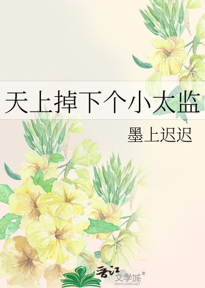 Bìa truyện Thiên Thượng Điệu Hạ Cá Tiểu Thái Giam (天上掉下个小太监)