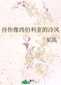 Bìa truyện Đãi Nhĩ Tượng Tây Bá Lợi Á Đích Lãnh Phong (待你像西伯利亚的冷风)