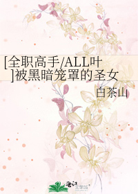 Bìa truyện Toàn Chức Cao Thủ All Hiệp Bị Hắc Ám Lung Tráo Đích Thánh Nữ ([全职高手/ALL叶]被黑暗笼罩的圣女)