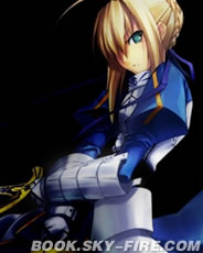 Bìa truyện Fate Stay Night (Fate Stay Night)