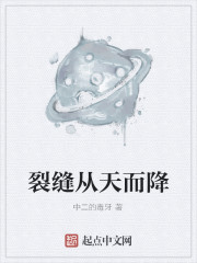 Bìa truyện Liệt Phùng Tòng Thiên Nhi Giáng (裂缝从天而降)