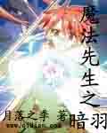 Bìa truyện Ma Pháp Tiên Sinh Chi Ám Vũ (魔法先生之暗羽)