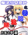 Bìa truyện Ma Pháp Thiếu Nữ Nại Hiệp Chi Vân Vũ Lưu Phi (魔法少女奈叶之云羽流绯)