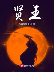 Bìa truyện Hiền Vương (贤王)