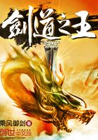 Bìa truyện Kiếm Đạo Chi Vương (剑道之王)