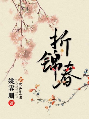 Bìa truyện Chiết Cẩm Xuân (折锦春)