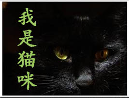 Bìa truyện Ngã Thị Miêu Mễ (我是猫咪)