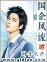 Bìa truyện Quốc Xí Phong Lưu (国企风流)