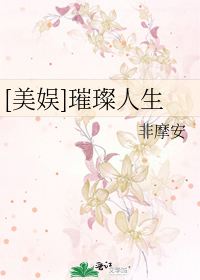 Bìa truyện Mĩ Ngu Thôi Xán Nhân Sinh ([美娱]璀璨人生)
