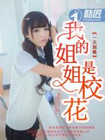 Bìa truyện Ngã Đích Tỷ Tỷ Thị Giáo Hoa (我的姐姐是校花)