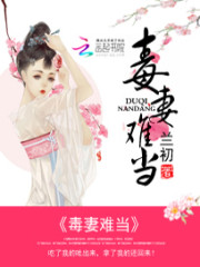 Bìa truyện Độc Thê Nan Đương (毒妻难当)