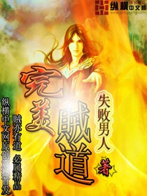 Bìa truyện Hoàn Mĩ Tặc Đạo (完美贼道)