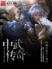Bìa truyện Trung Vũ Truyện Kì (中武传奇)