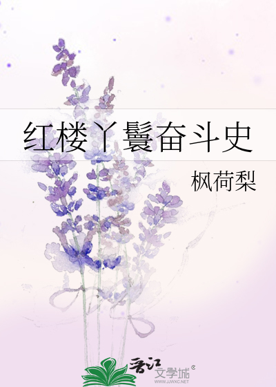 Bìa truyện Hồng Lâu Nha Hoàn Phấn Đấu Sử (红楼丫鬟奋斗史)