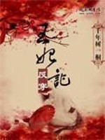 Bìa truyện Vương Phi Phản Xuyên Kí (王妃反穿记)