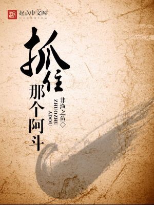 Bìa truyện Trảo Trụ Na Cá A Đấu (抓住那个阿斗)