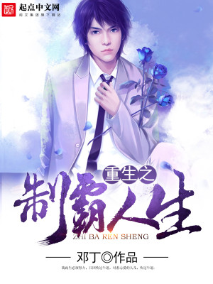 Bìa truyện Trọng Sinh Chi Di Hám (重生之弥憾)