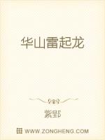 Bìa truyện Hoa Sơn Lôi Khởi Long (华山雷起龙)