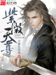 Bìa truyện Tử Vi Thiên Tôn (紫微天尊)