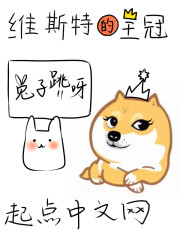 Bìa truyện Duy Tư Đặc Đích Vương Quan (维斯特的王冠)