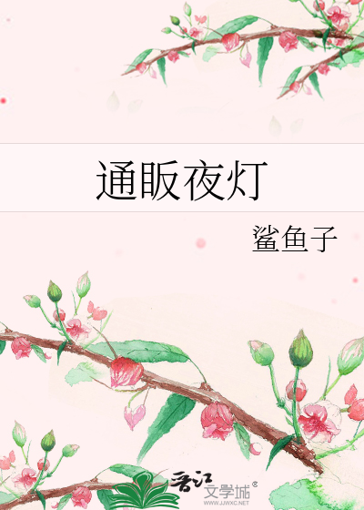 Bìa truyện Thông Phàn Dạ Đăng (通眅夜灯)