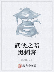Bìa truyện Vũ Hiệp Chi Ám Hắc Thứ Khách (武侠之暗黑刺客)