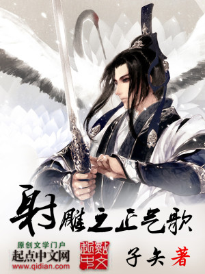 Bìa truyện Xạ Điêu Chi Chính Khí Ca (射雕之正气歌)