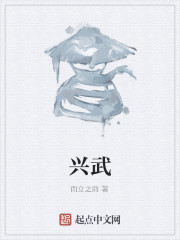 Bìa truyện Hưng Vũ (兴武)