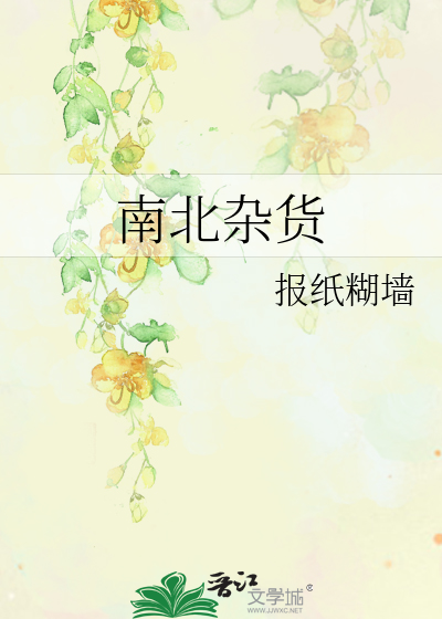 Bìa truyện Nam Bắc Tạp Hóa (南北杂货)