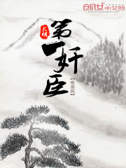 Bìa truyện Đại Minh Đệ Nhất Gian Thần (大明第一奸臣)