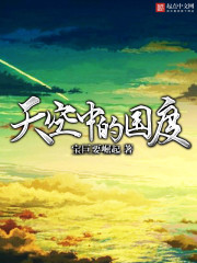 Bìa truyện Thiên Không Trung Đích Quốc Độ (天空中的国度)