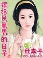 Bìa truyện Giá Cấp Phượng Hoàng Nam Đích Nhật Tử (嫁给凤凰男的日子)