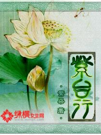 Bìa truyện Tử Đài Hành (紫台行)