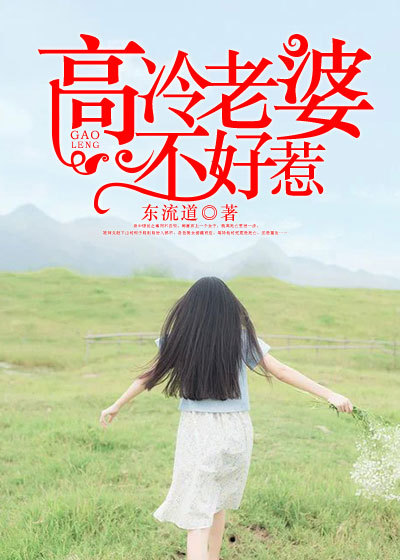 Bìa truyện Cao Lãnh Lão Bà Bất Hảo Nhạ (高冷老婆不好惹)