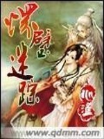 Bìa truyện Hoài Bích Mê Tung (怀璧谜踪)