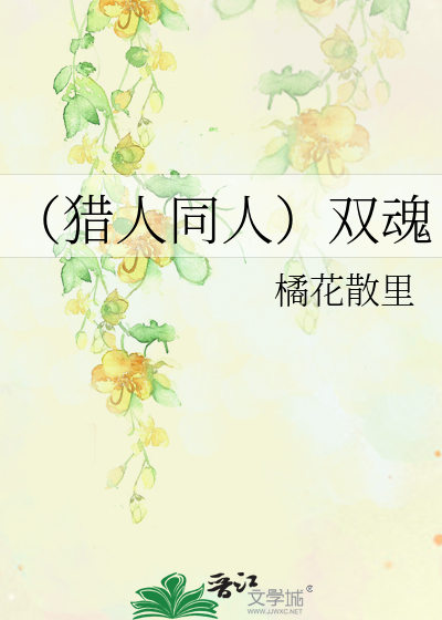 Bìa truyện Liệp Nhân Đồng Nhân Song Hồn (（猎人同人）双魂)